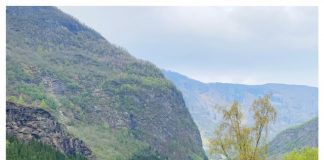 De rondreis door het zuiden van Noorwegen met kinderen flamsbana view