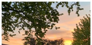 Foto weekoverzicht Judith #227