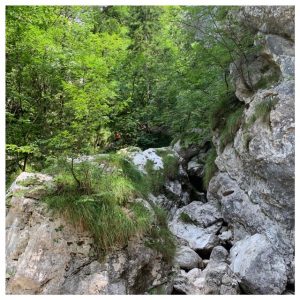 oglice waterval droog