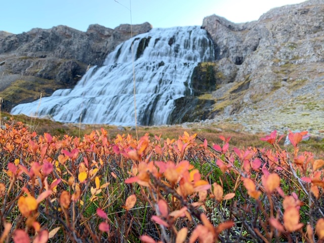 Dyjandi in de herfst ijsland westfjorden