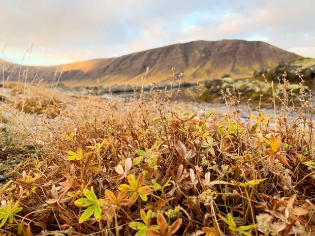 Snaefellsnes herfst