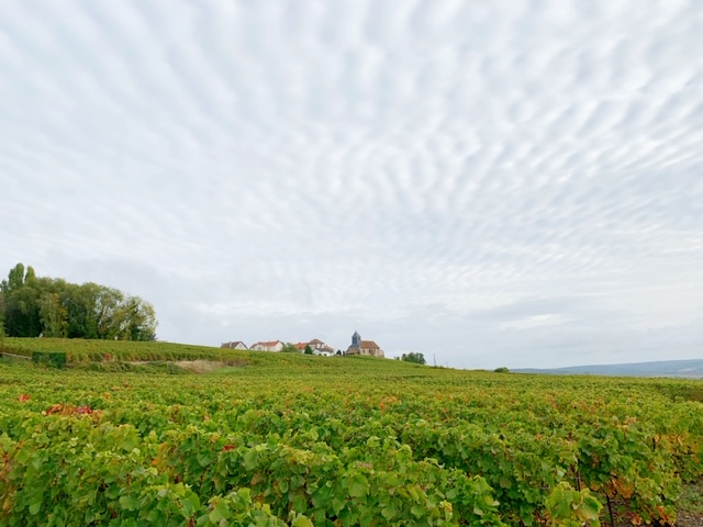 Ontdek de Champagnestreek in de herfst