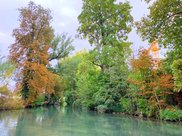 herfst in de champagnestreek