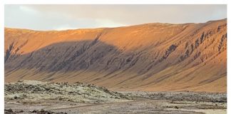 Rondreis door de Westfjorden juut foto ijsland sunny cars