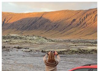 Rondreis door de Westfjorden juut foto ijsland sunny cars