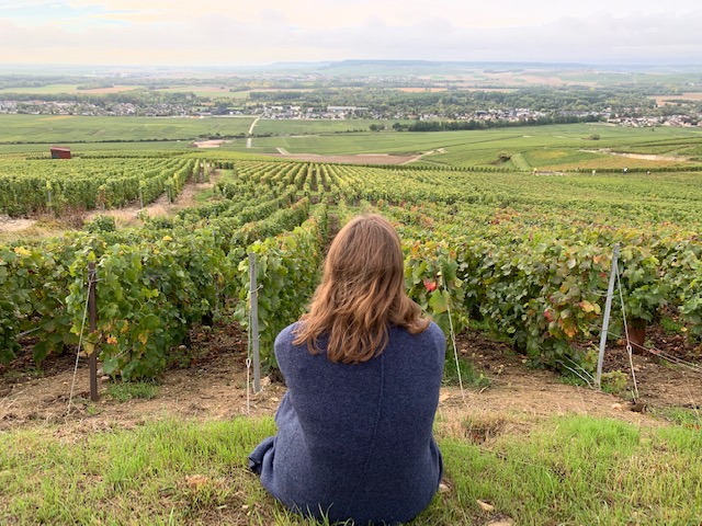 view winegrowers footpath