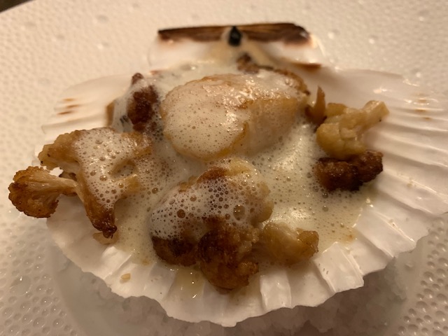 coquille bloemkool bij erik