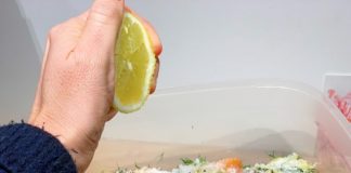 Zalm gemarineerd in wodka en rode biet gemarineerde zalm in wodka en rode biet