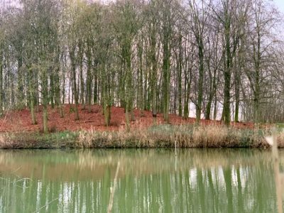 wandeling wilhelminapark