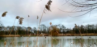 Foto weekoverzicht Judith #261 meer in het wilhelminapark rijswijk