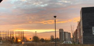 Foto weekoverzicht Judith #263 prachtige opkomende zon jan 2020
