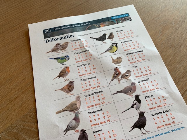 werkblad vogeltelling