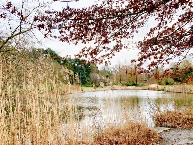 westfahlenpark dortmund