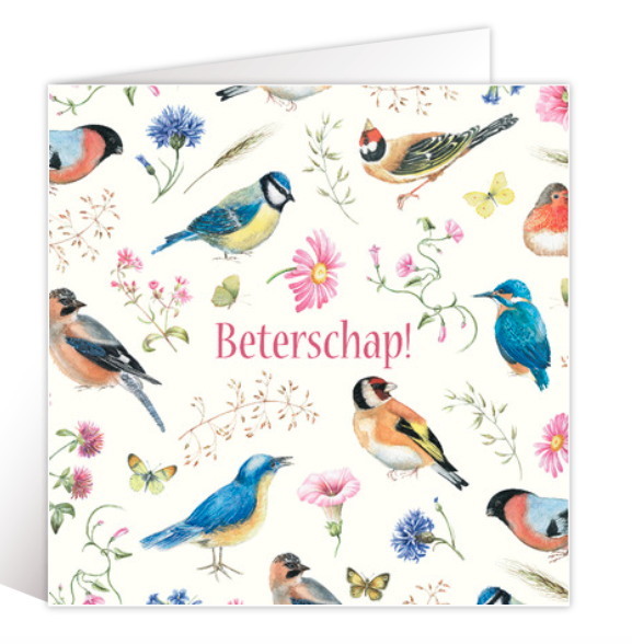 beterschapskaart vogeltjes