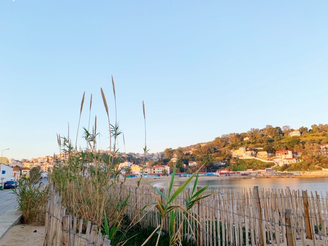 Noord- Tunesië beach baai