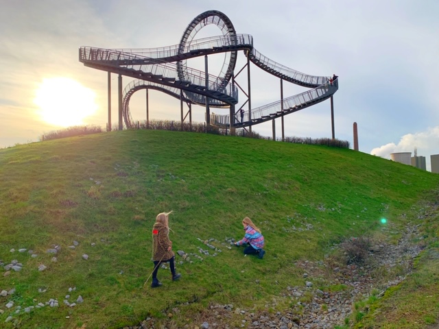 tiger en turtle met ondergaande zon