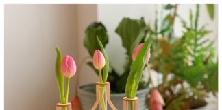 Houten vaasjes met reageerbuis om zelf te maken vaasjes laserbabes