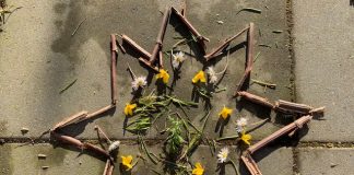 Activiteiten voor in de tuin met kinderen in de lente natuur mandala maken