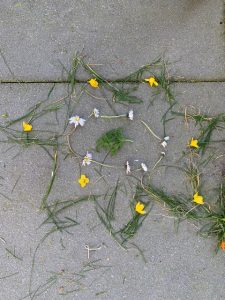 natuurlijke mandala maken