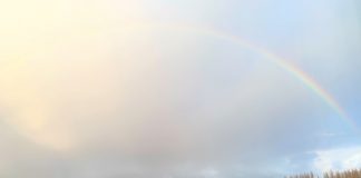 Foto weekoverzicht Judith #269 rainbowmaart2020