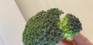 Gezonder gaan leven broccoli stronk