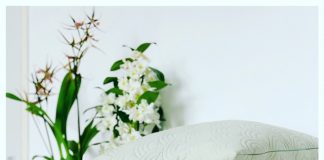 Met een orchidee in huis zorg je voor kleur! orchidee slaapkamer kussens