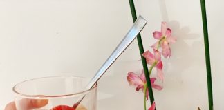 Koolhydraatarm cacao slagroom ontbijt Koolhydraatarm cacao slagroom ontbijt orchidee