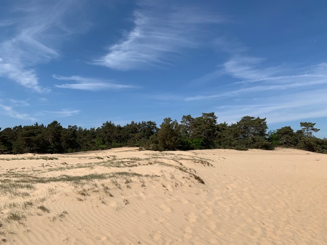 overzicht kootwijkerzand