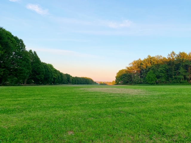 veld veluwse zoom