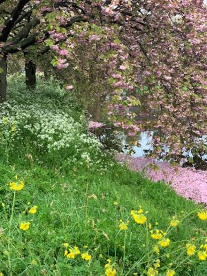 wandelen eind april 2020