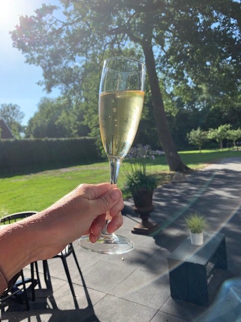 bubbels hof van de koning