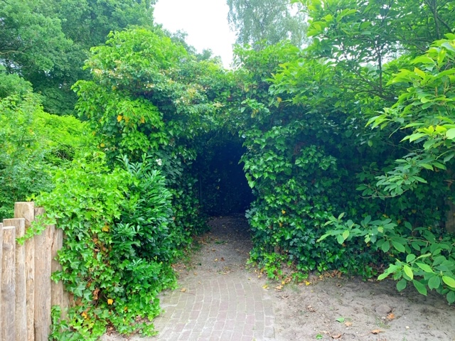 groen doolhof bakkeveen