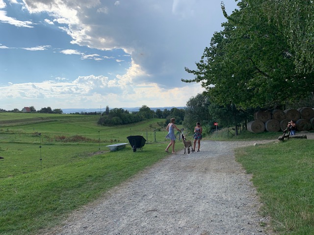 geitje wandelen western