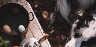 Backyard Cooking, koken tijdens de vakantie Backyard cooking