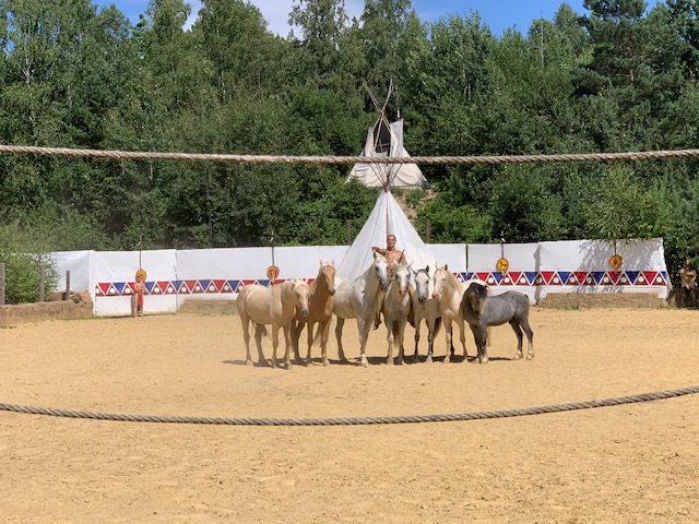 paardenshow western park