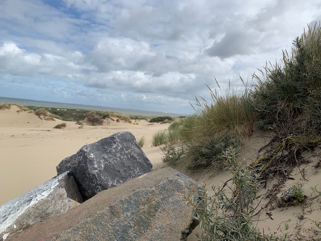 strand scheve horizon