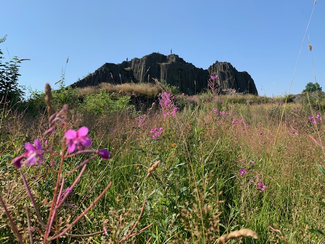 basalt rots panka skala
