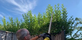 Een goede heggenschaar met accu: Kärcher goede heggeschaar van karcher