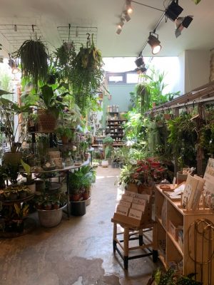 overzicht winkel groene vingers delft