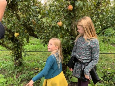 appels plukken sept 2020 olmenhorst