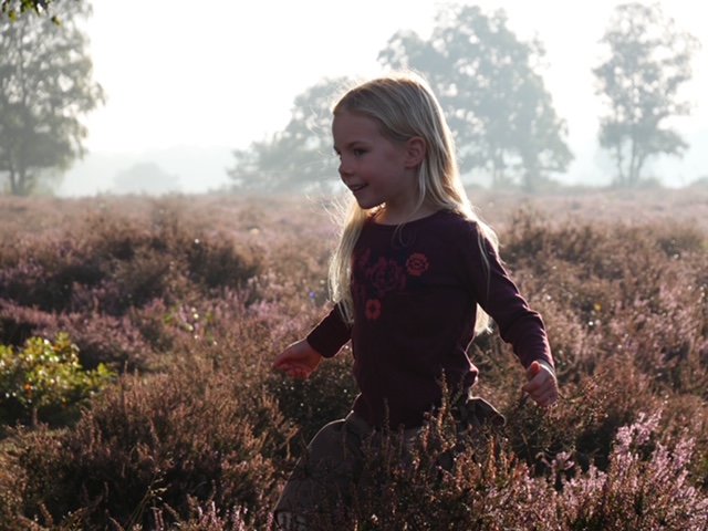 feetje hoorneboegse heide