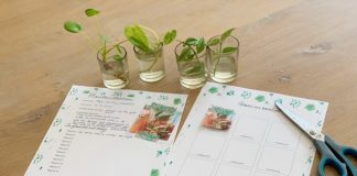 Free printable over stekjes planten free printable over plantjes stekken op tafel