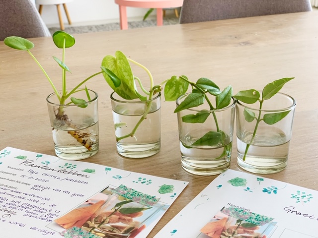 free printable over plantjes stekken vaasjes met stekjes