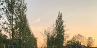 Foto weekoverzicht Judith #297 paddestoelen langs de vliet 15 sept 2020