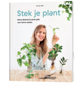 stek je plant