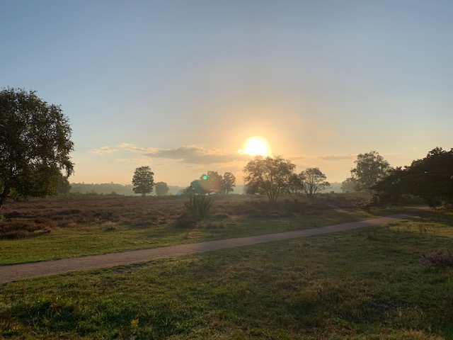 sunrise hoorneboegse heide