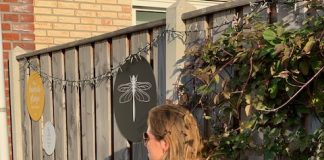 In het voorjaar is het tijd voor een nieuwe schutting wijntje in september bij de bbq in de tuin