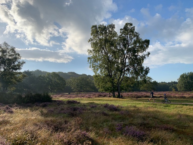 wolken heide