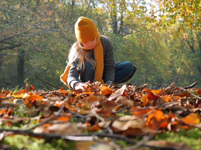 Lenthe herfstbladeren