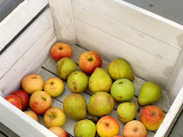 appels en peren